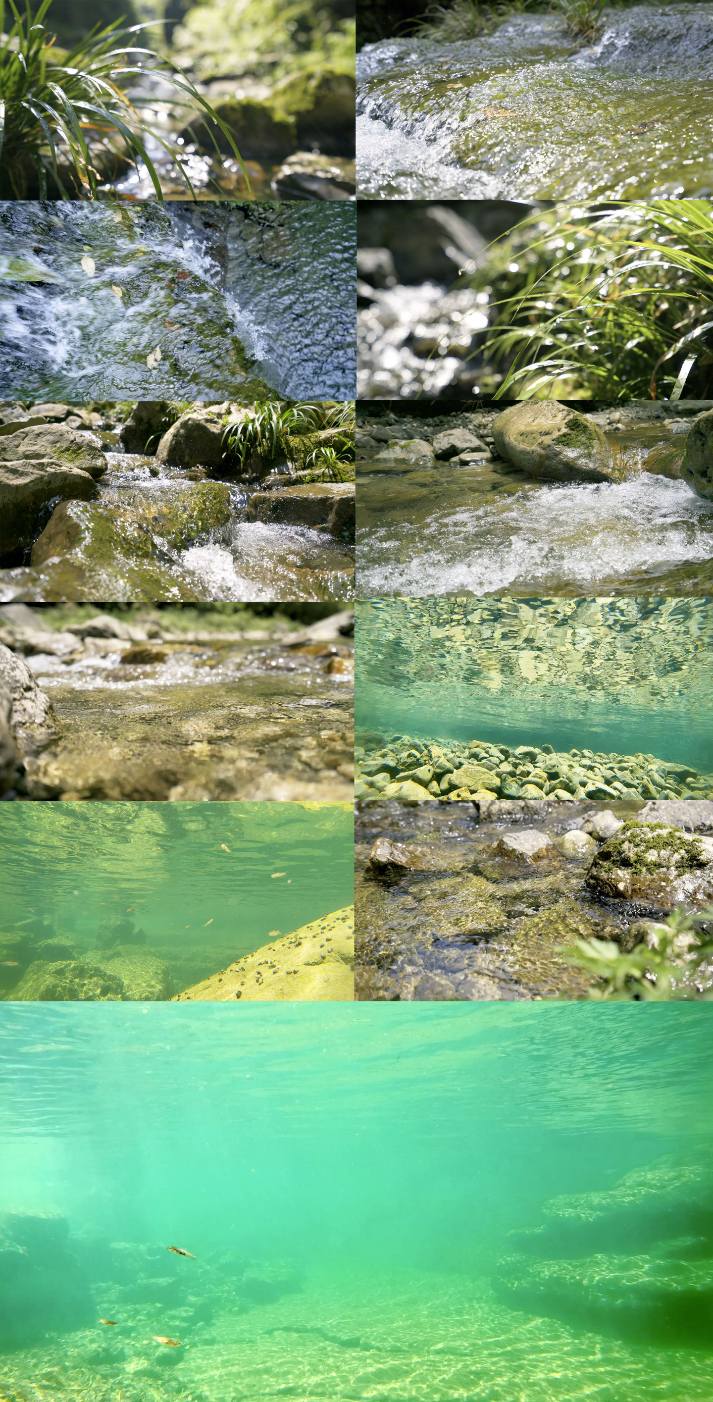 4K清澈山涧流水,水下小鱼游动,自然生态