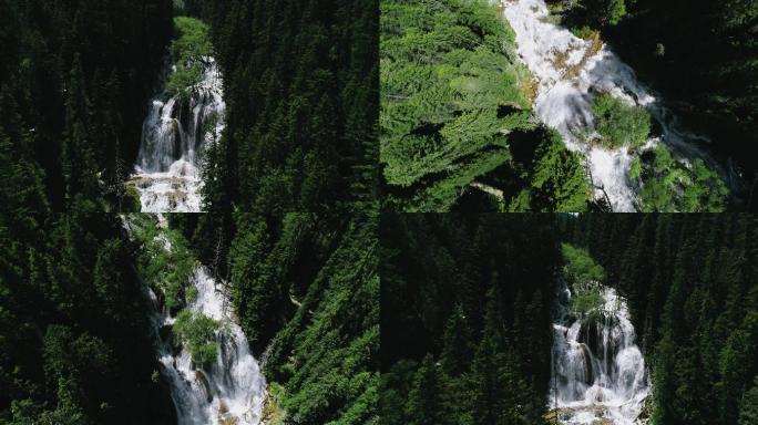 4K森林中的钙化瀑布落差亚洲最大扎嘎瀑布
