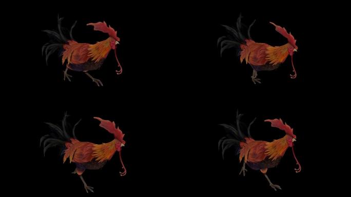 公鸡奔跑动画01