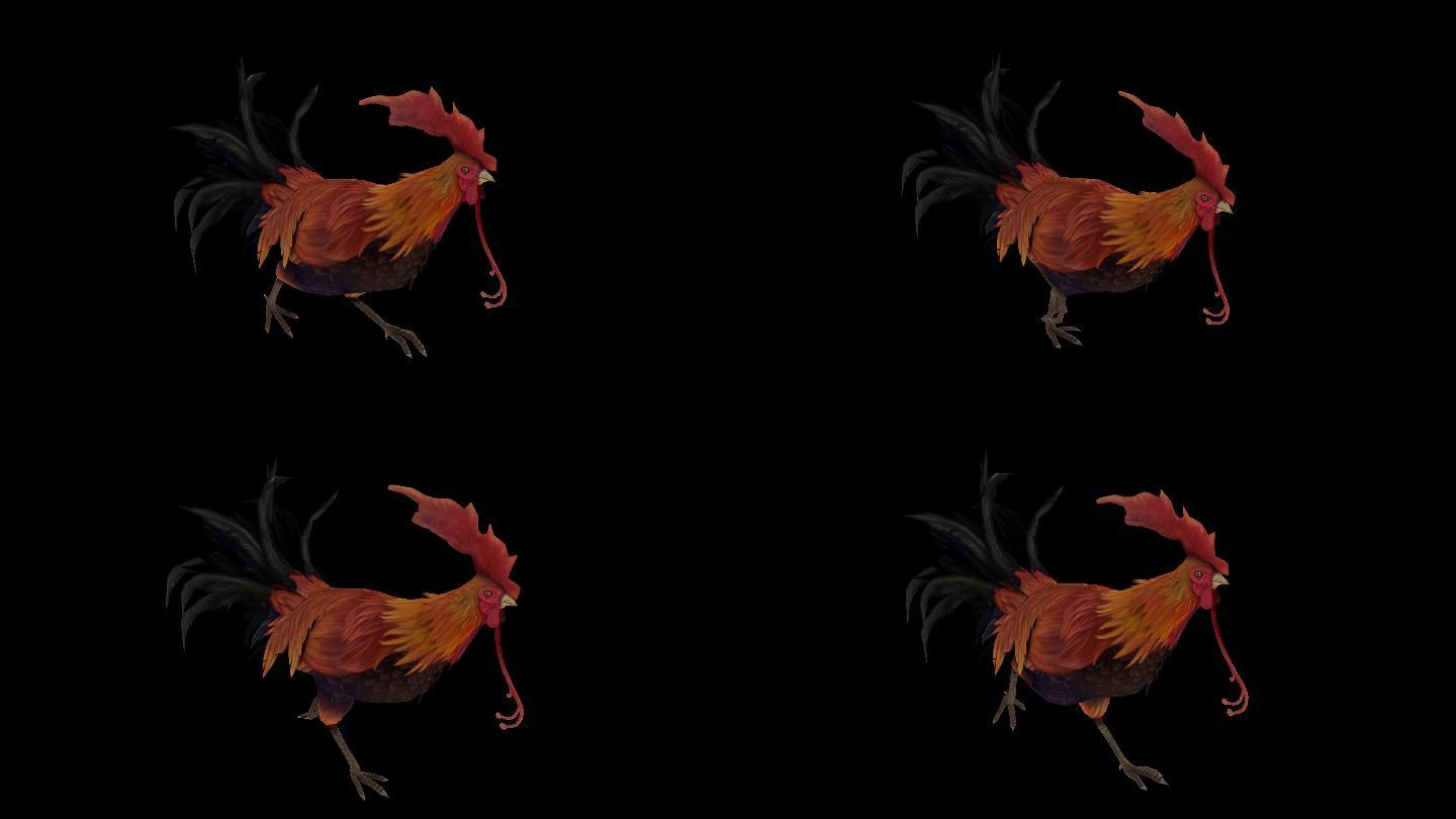 公鸡奔跑动画01