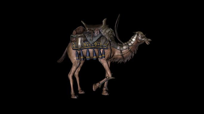 骆驼佩戴鞍蹬脚休息动画01