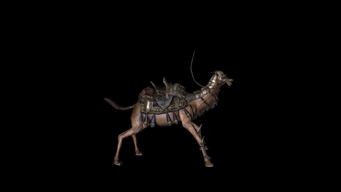 骆驼佩戴鞍攻击动画01