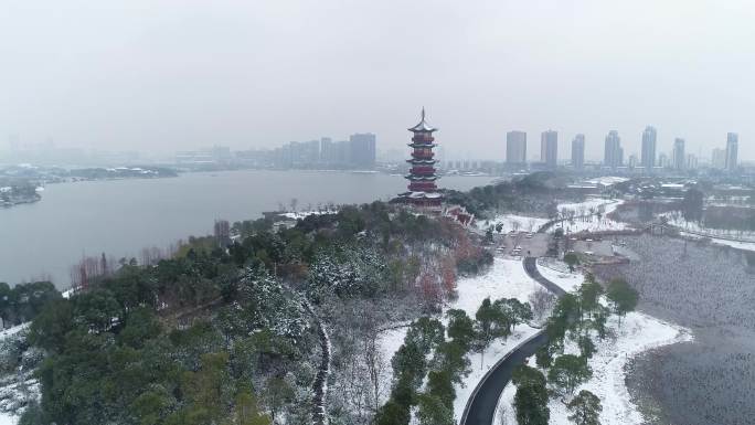 【4K视频】南昌象湖湿地公园雪景