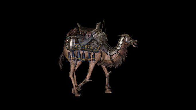 骆驼佩戴鞍蹬脚嘶鸣动画01