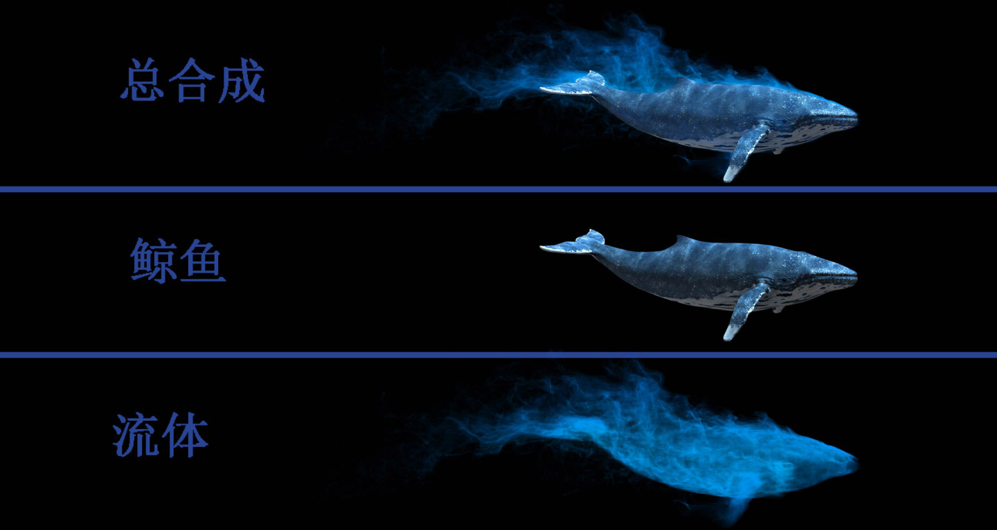 鲸鱼超宽屏（02）-alpha通道