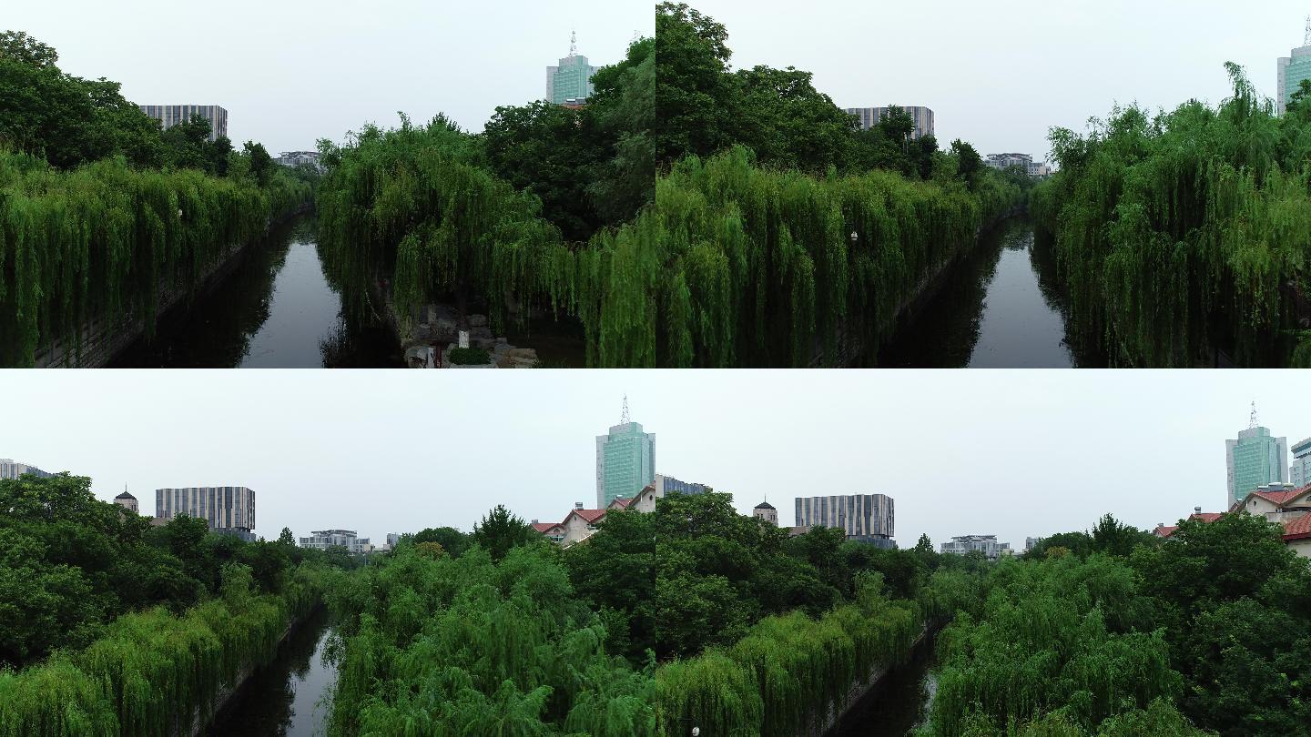 4K-log原素材-济南护城河垂柳航拍