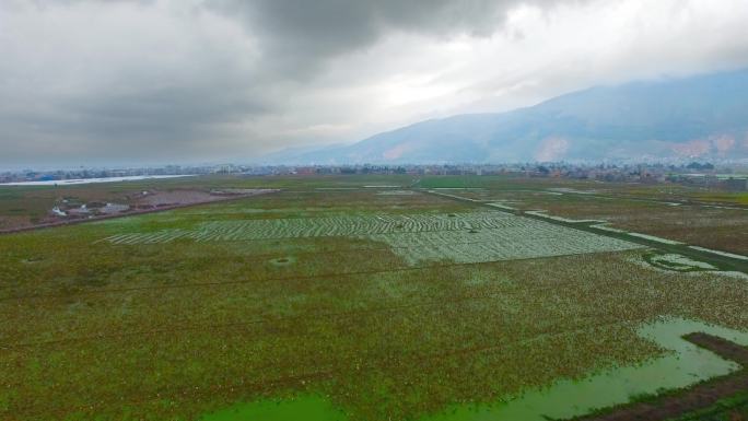 4k航拍、乌云笼罩的紫溪湿地、田野小河