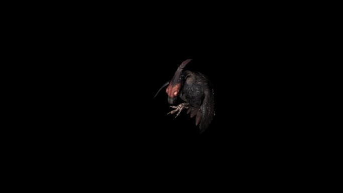 秃鹫死亡动画04