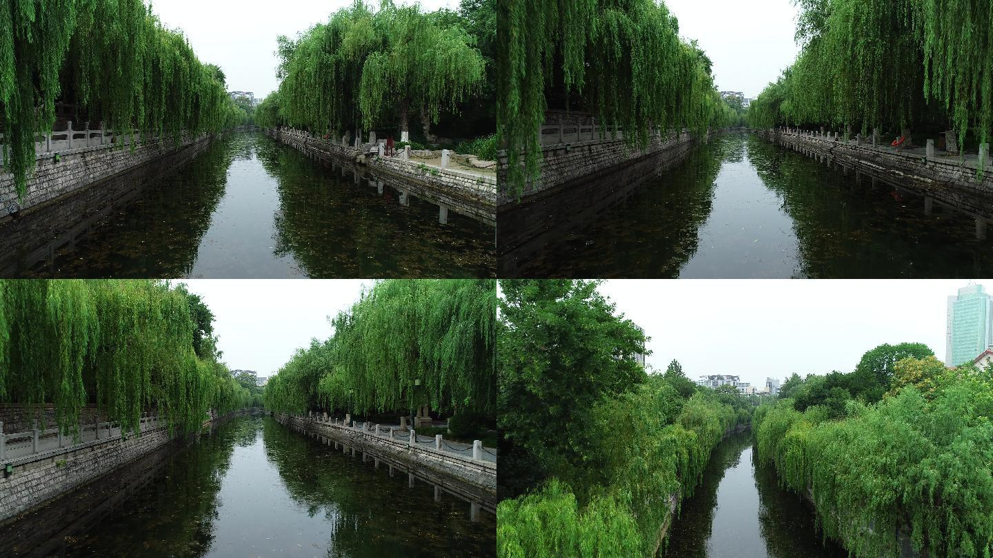 4K-log原素材-护城河垂柳航拍