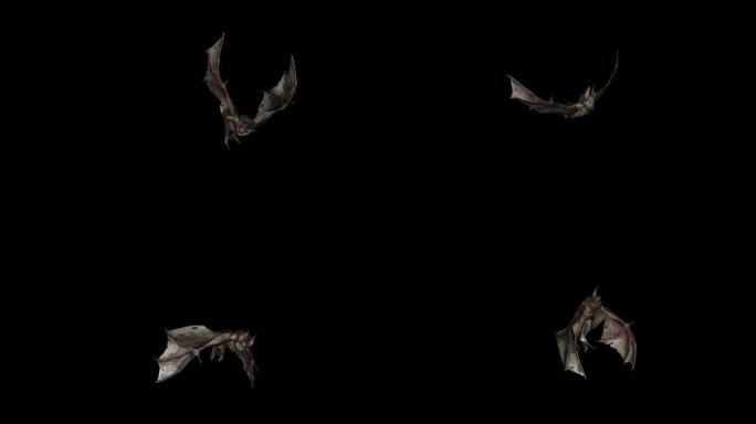 蝙蝠袭击动画09