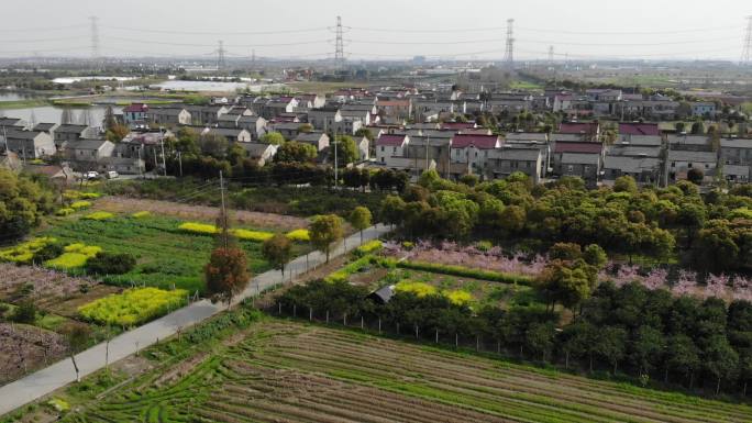 航拍村庄稻田电塔