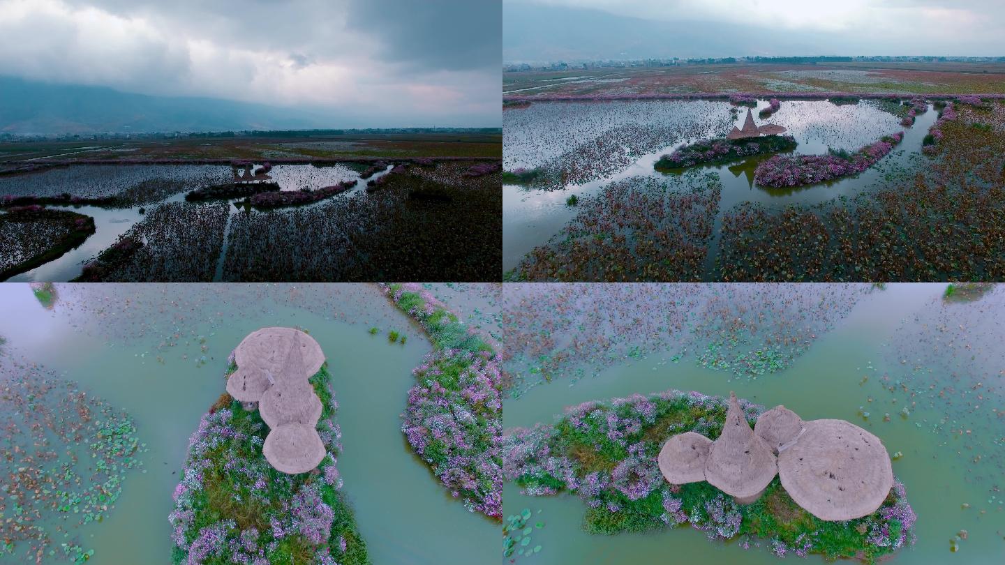 湿地公园视频乌云笼罩的紫溪湿地花棚