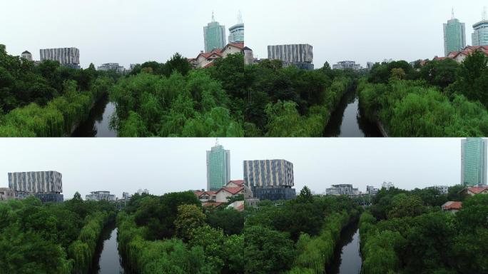 4K-log原素材-济南护城河垂柳航拍