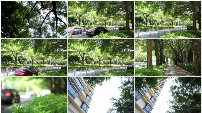 城市生态绿化环境