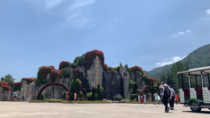 秦岭动物园旅游长颈鹿羊驼老虎