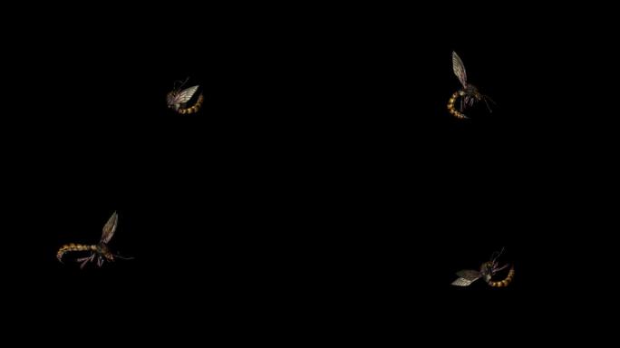 蜜蜂攻击动画(10)
