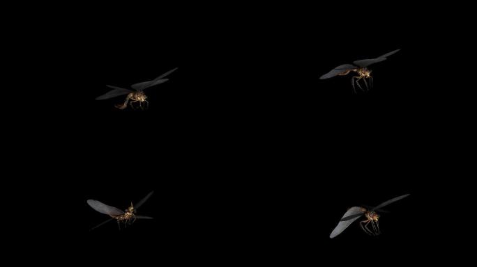 蜻蜓攻击动画(11)