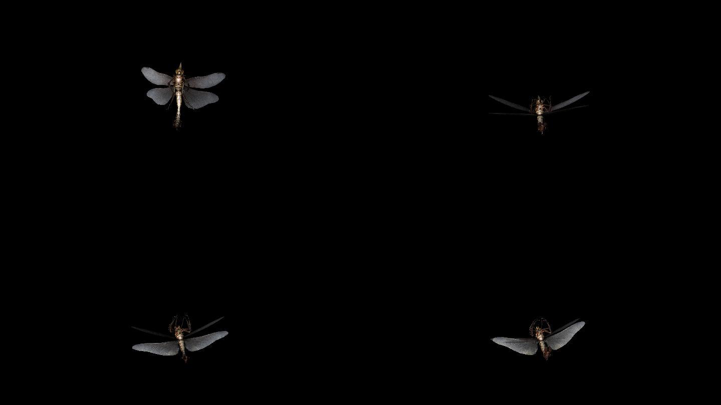 蜻蜓死亡动画(4)