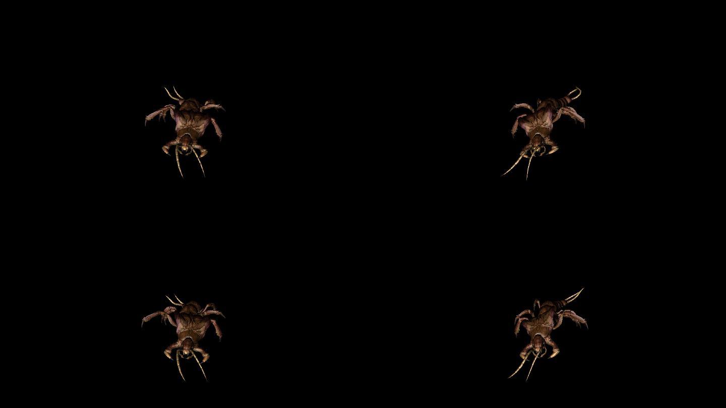 蜈蚣奔跑动画(4)