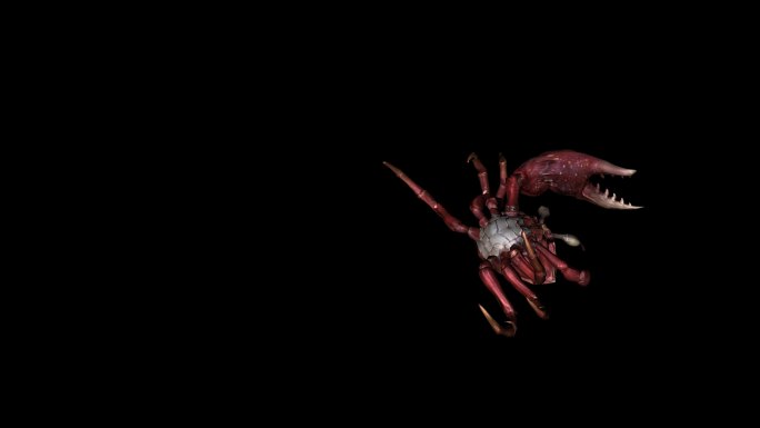 螃蟹死亡动画(9)