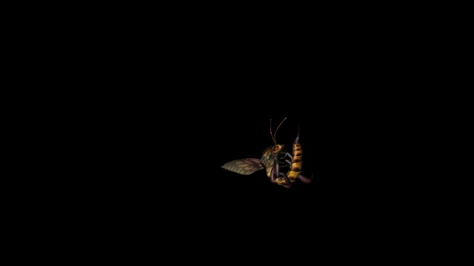 蜜蜂攻击动画(8)