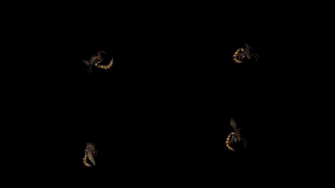 蜜蜂攻击动画(2)