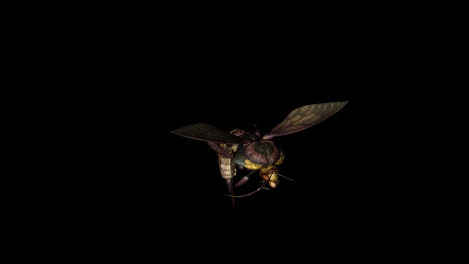 蜜蜂飞行动画(7)