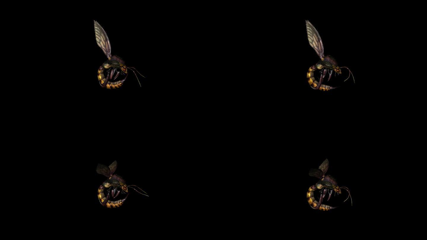 蜜蜂动画(2)