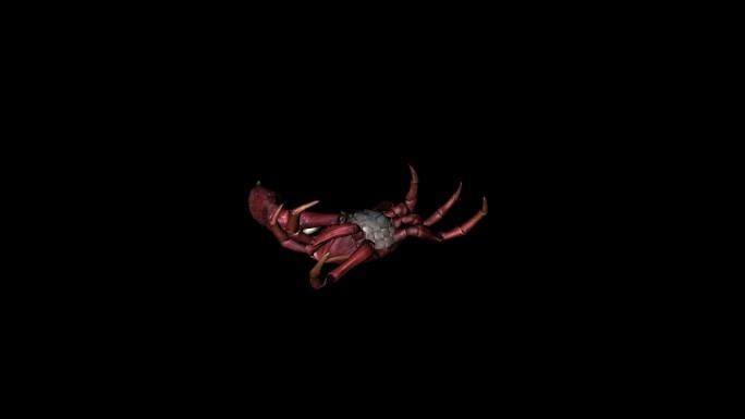 螃蟹死亡动画(7)
