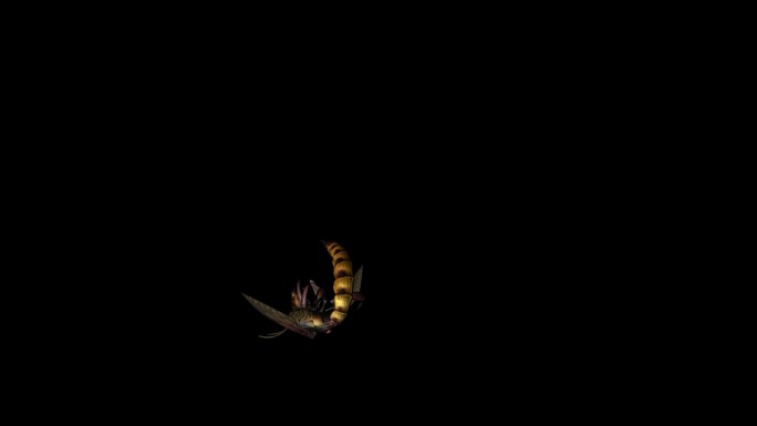 蜜蜂死亡动画(6)