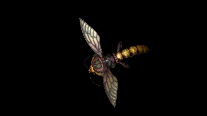 蜜蜂飞行动画(5)