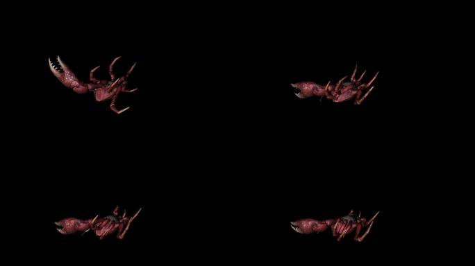 螃蟹死亡动画(6)