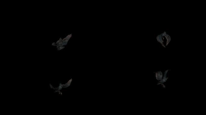 乌鸦起飞动画(3)