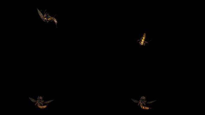 蜜蜂死亡动画(7)