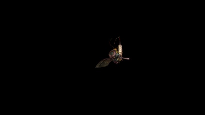 蜜蜂攻击动画(6)