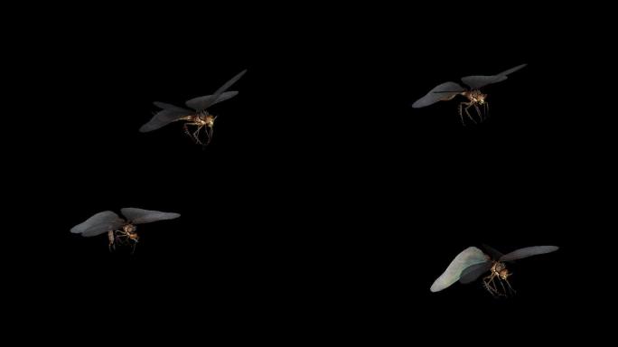 蜻蜓攻击动画(15)