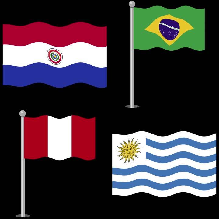 南美洲国家国旗图标波动升起_视频素材包下载