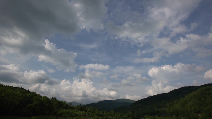 山林航拍延时云海林海