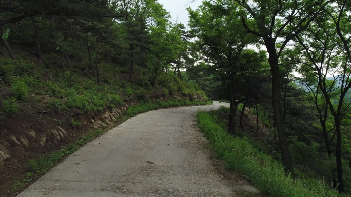 航拍森林山顶小路近景4K