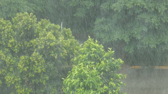 实拍大暴雨下雨磅礴大雨下雨天、可商用