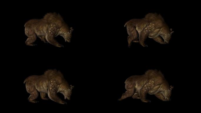 棕色的熊走路动画(2)