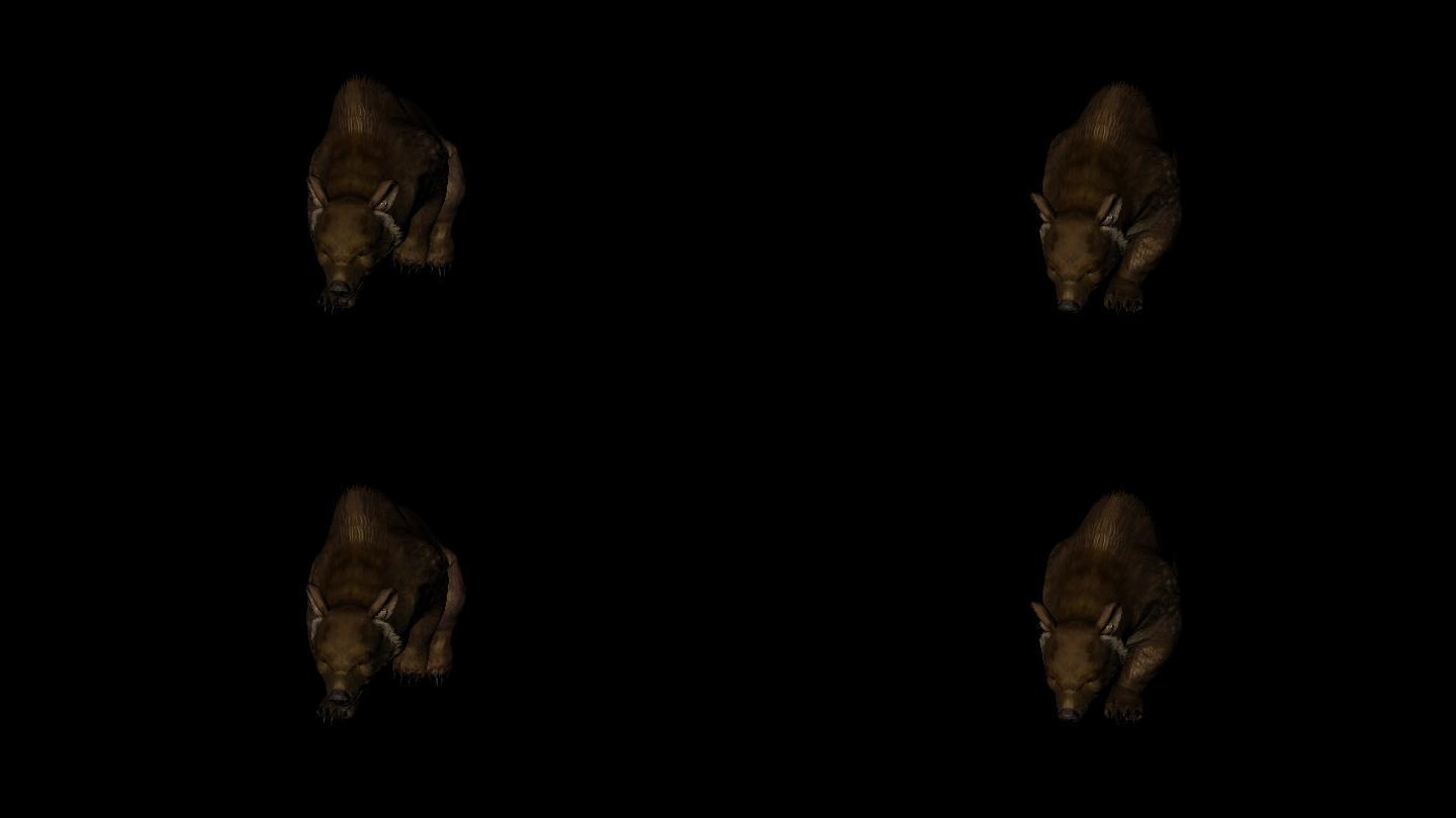 棕色的熊走路动画(8)