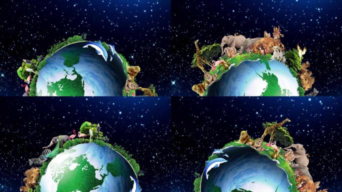 地球家园（动物世界、半球旋转）