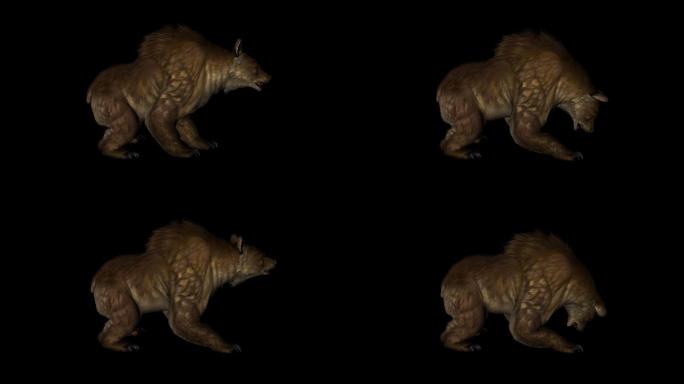 棕色的熊动画17
