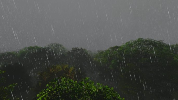 树林大雨三维动画