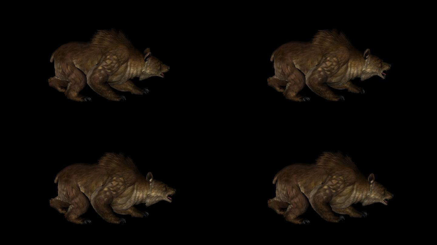 棕色的熊动画09