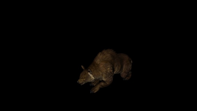 棕色的熊袭击动画20