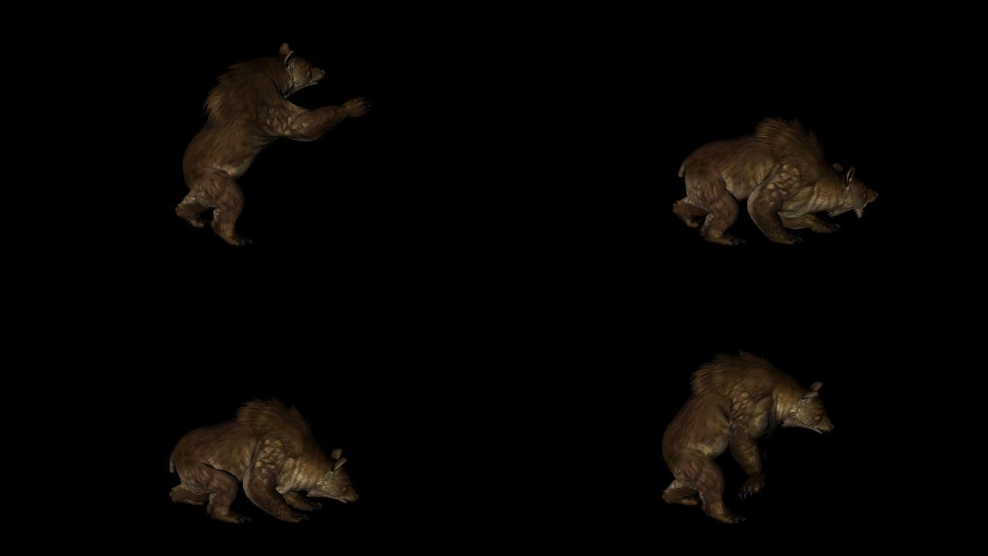 棕色的熊袭击动画09