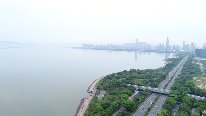 深圳海边深圳湾海边公路车流