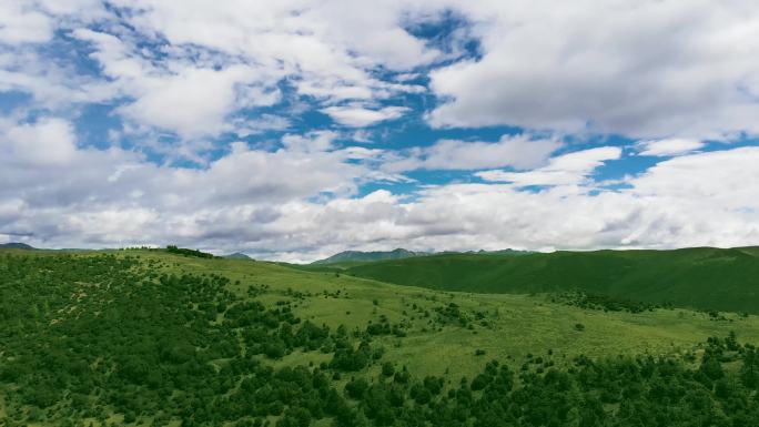 4K蓝天白云山林草地